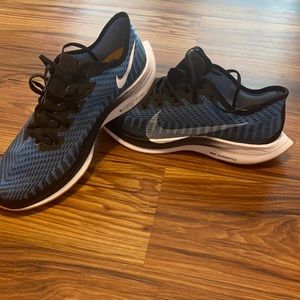 Men’s Nike Zoom Pegasus size 9.5